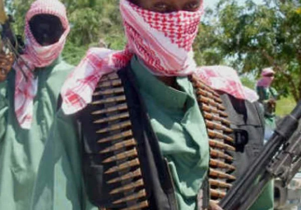 At least 200 Al-Shabaab militants killed in joint operation, govt says