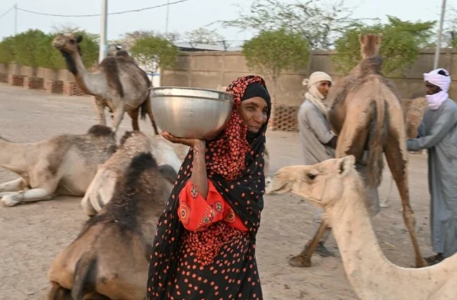 Chad: With climate change, nomads