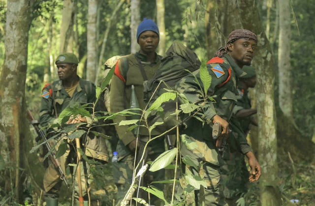 Congolese and Ugandan armies merge