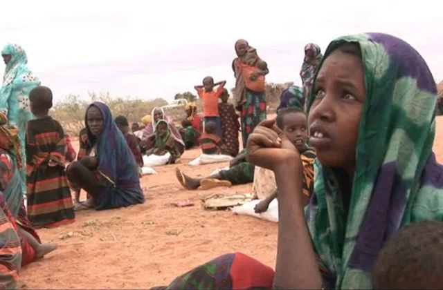 In the spotlight: Africa is threatened by food shortages