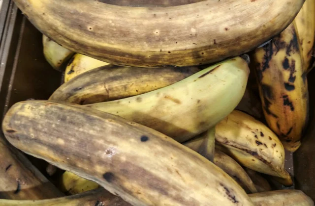 Plantain, the challenge of producing more, without pesticides