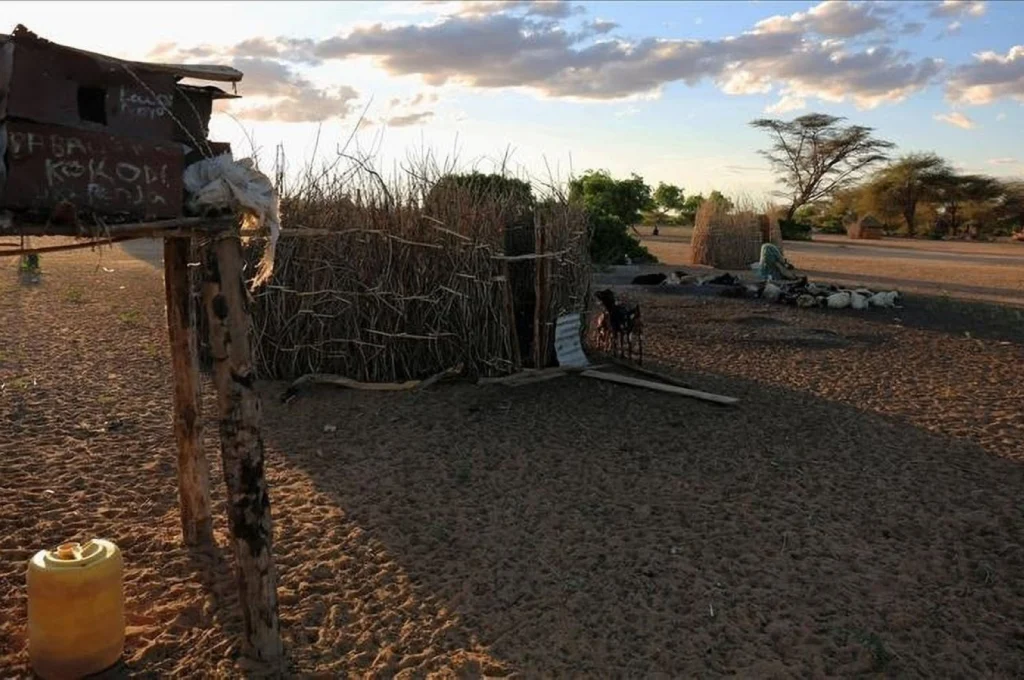 Reducing water resources causes fatal collisions