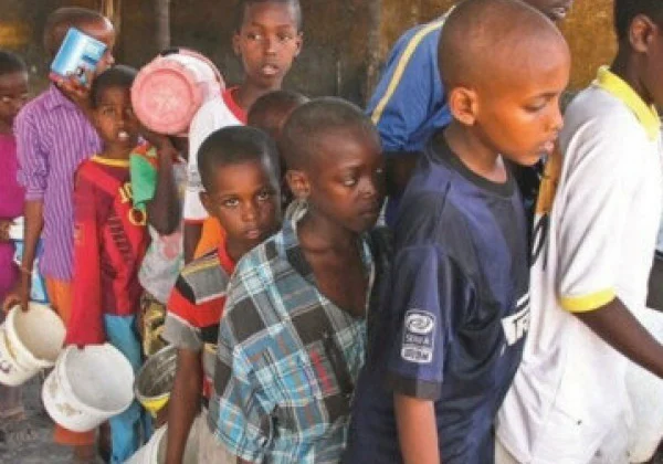 Seven million folks in northern Ethiopia want pressing assist: UN