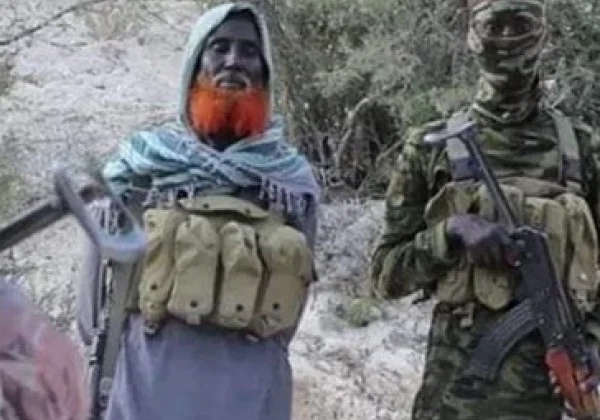 Somalia-based ISIS affiliate pledges allegiance to its new chief