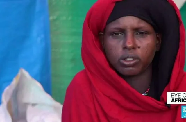 Tigray battle in Ethiopia: A brand new entrance rages within the Afar area