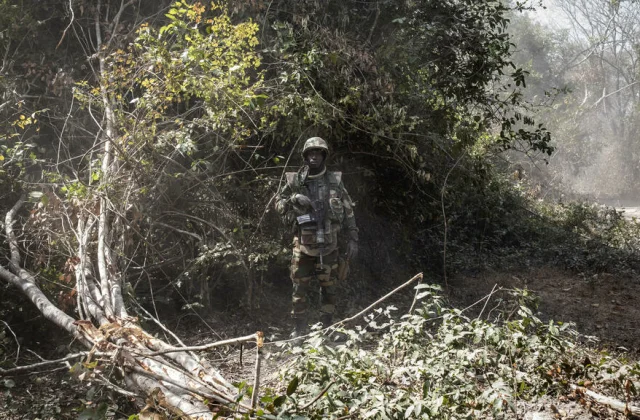 part of the population fled the military operation