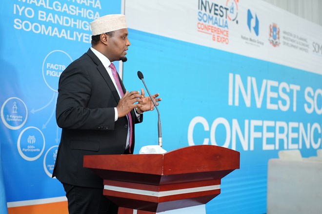 Foreign investors eye rich resources, economic growth in Somalia