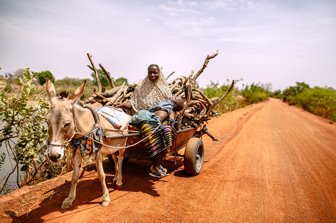 Donkey cart bomb kills five in northeast Kenya