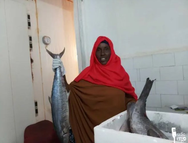 Displaced women in Hobyo set up businesses selling fish