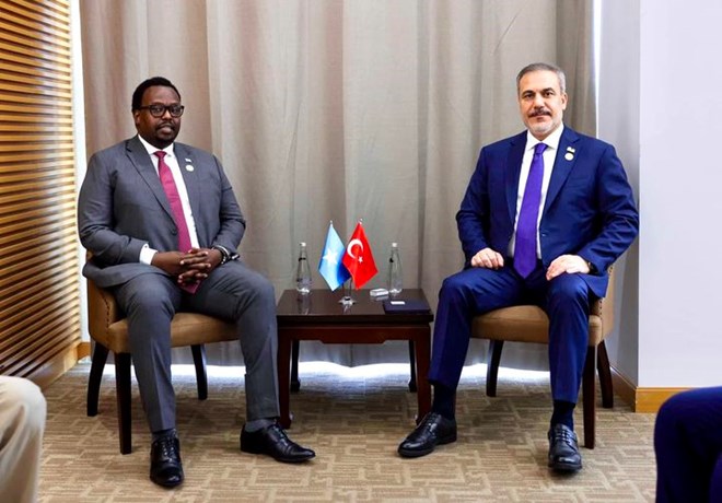 Somali Deputy PM holds talks with Turkish Foreign Minister at OIC summit
