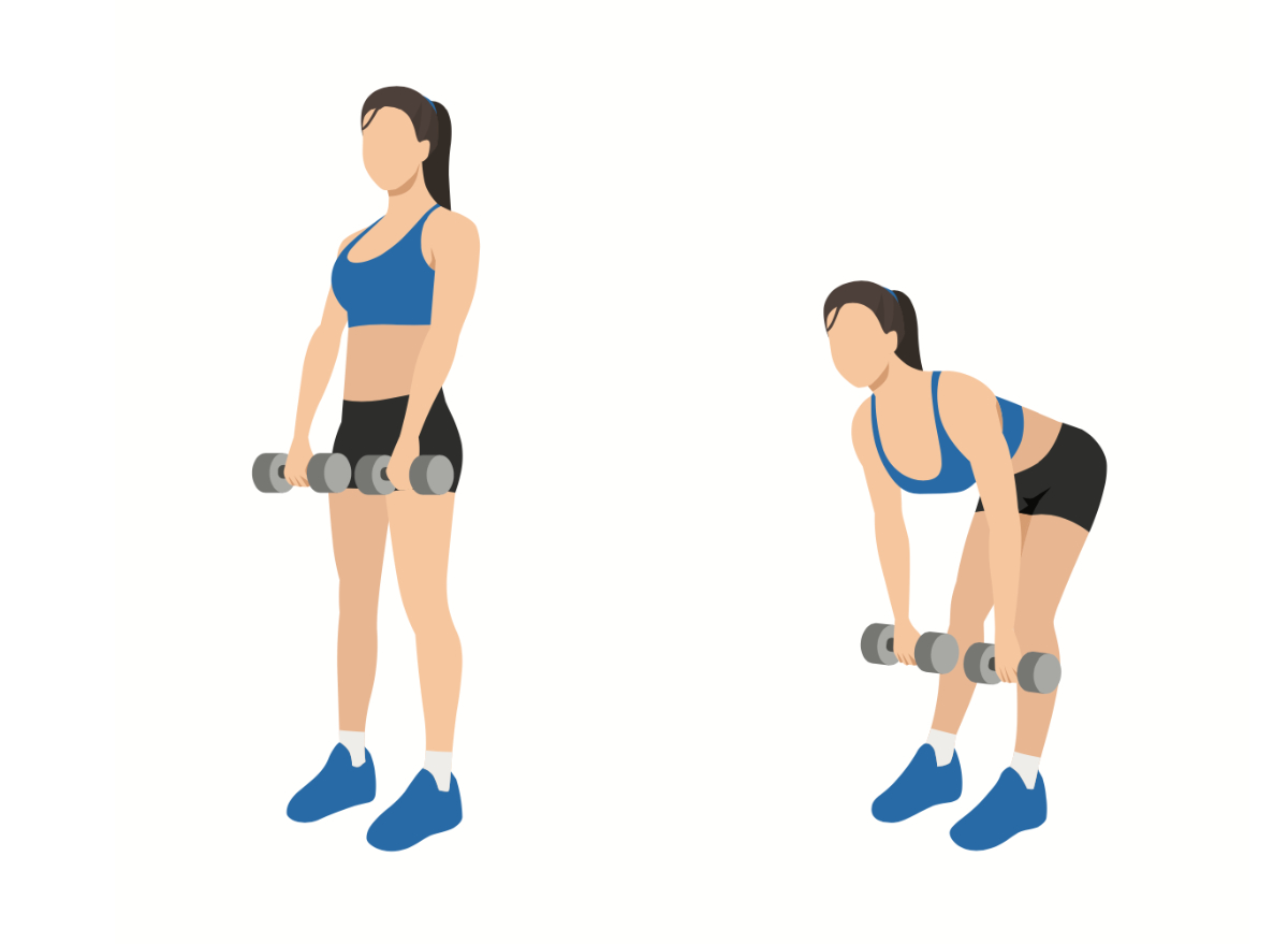 illustration of dumbbell deadlift