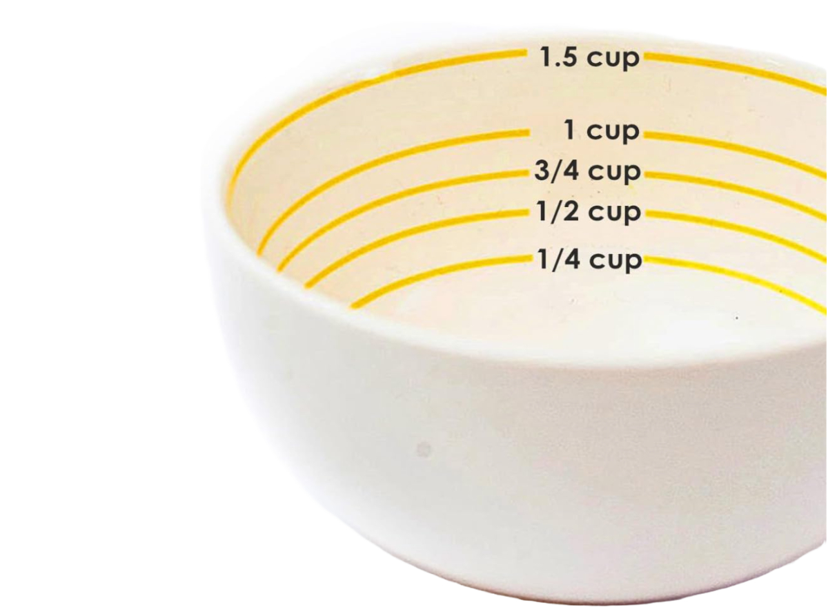 portion control bowl