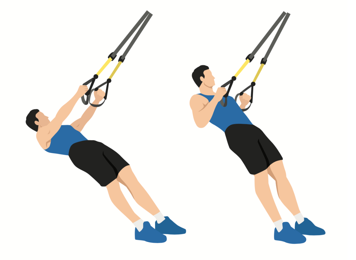 trx row illustration