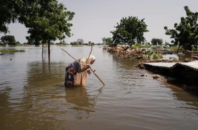 African Negotiators Should Advocate for Climate Justice at COP29