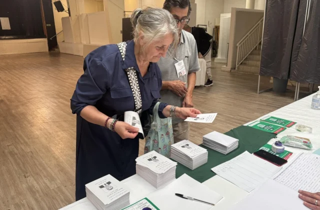 Algerians Living Overseas Participate in Presidential Election by Casting Their Votes Early