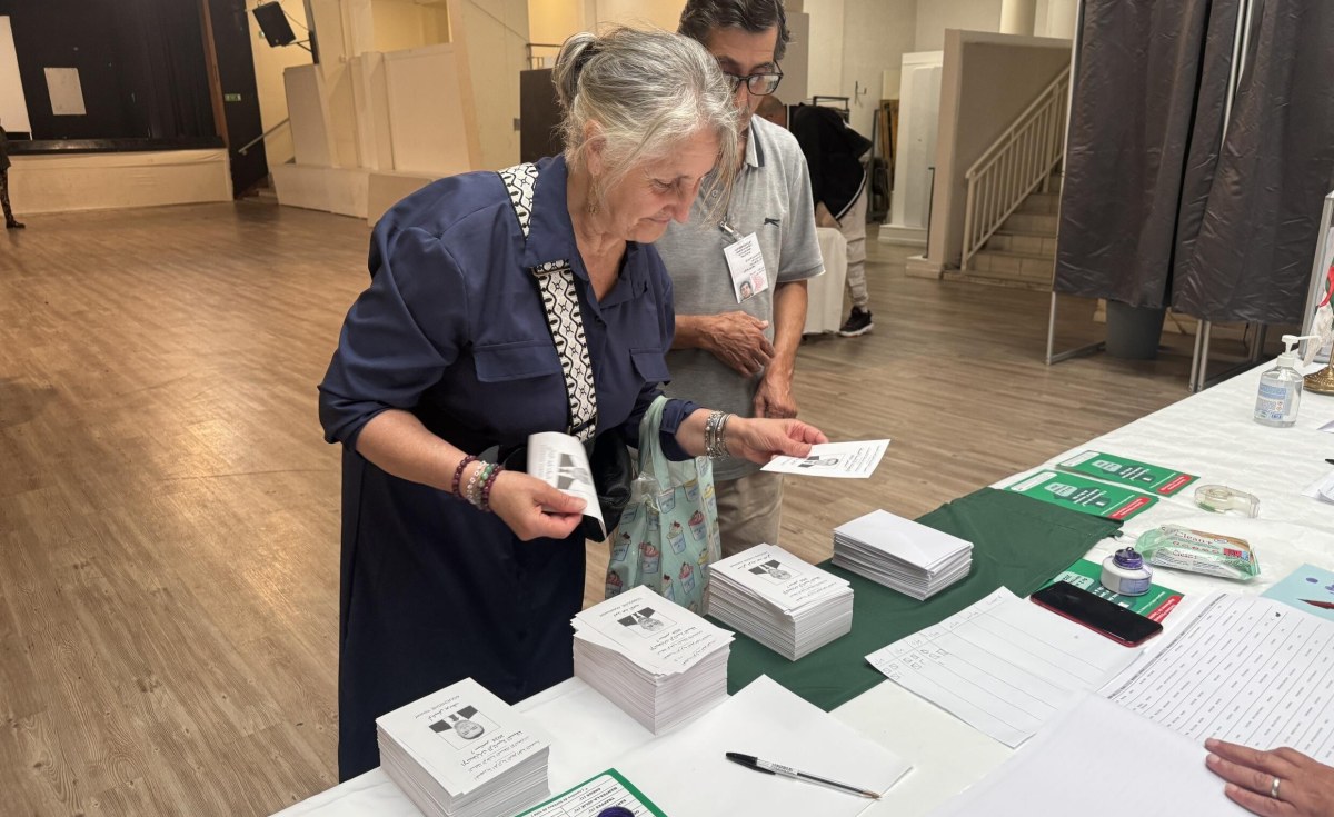 Algerians Abroad Cast Early Votes in Presidential Election