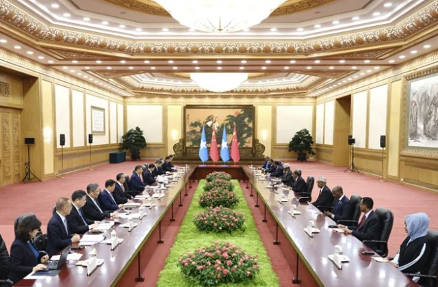 China and Somalia Enhance Diplomatic Relations to a Strategic Partnership
