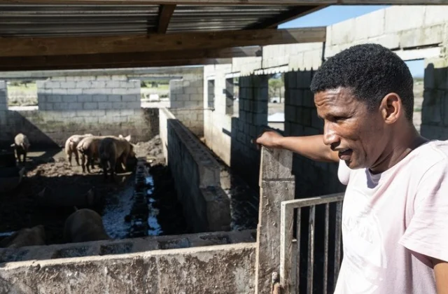 Collapse of Dam in South Africa Sparks Concerns Over Safety Measures