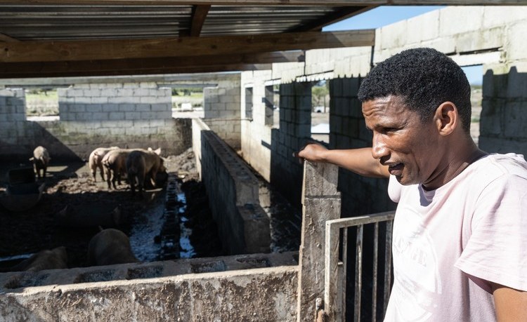 Dam Collapses In South Africa Raise Safety Questions