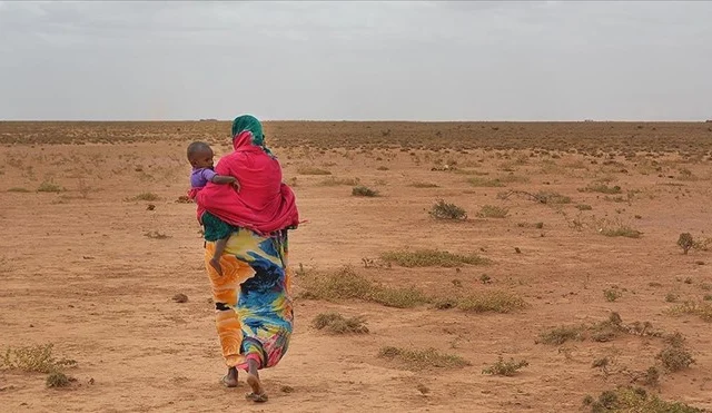 Egypt Advises Its Citizens to Exit North Western State of Somalia Due to Rising Tensions