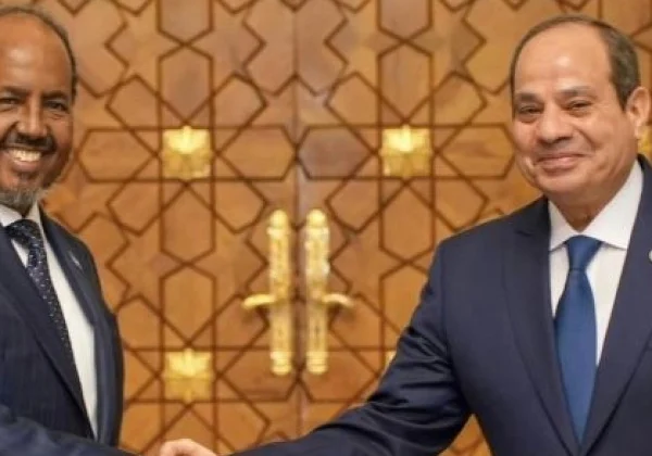 Egypt Announces Arrival of Second Batch of Arms to Somalia