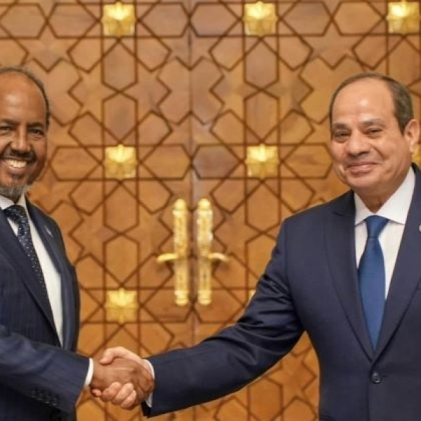 Egypt Announces Arrival of Second Batch of Arms to Somalia