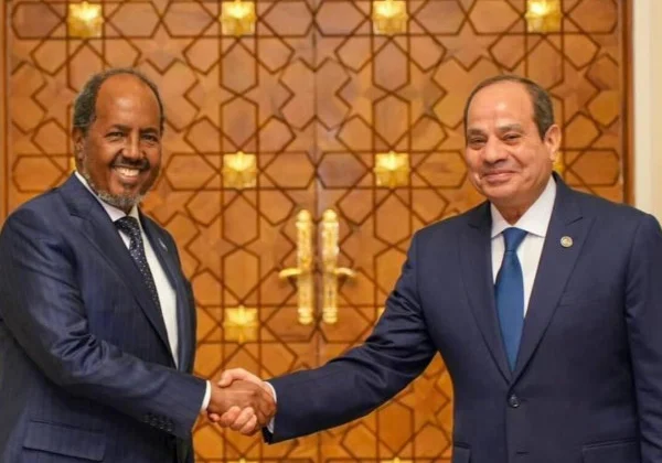 Egypt misusing Somalia for selfish Nile conflict gain, says minister