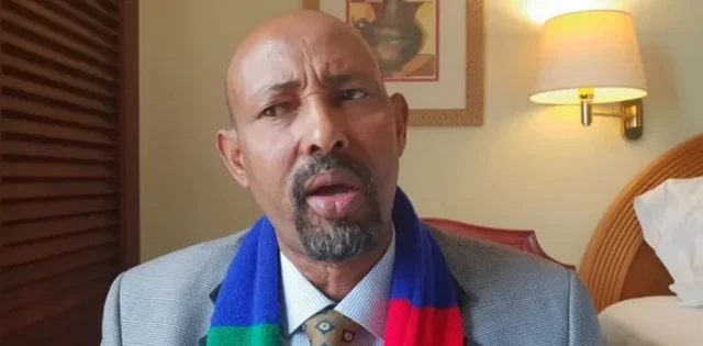 Ethiopian Military Chief’s Comments Ignite ONLF Controversy