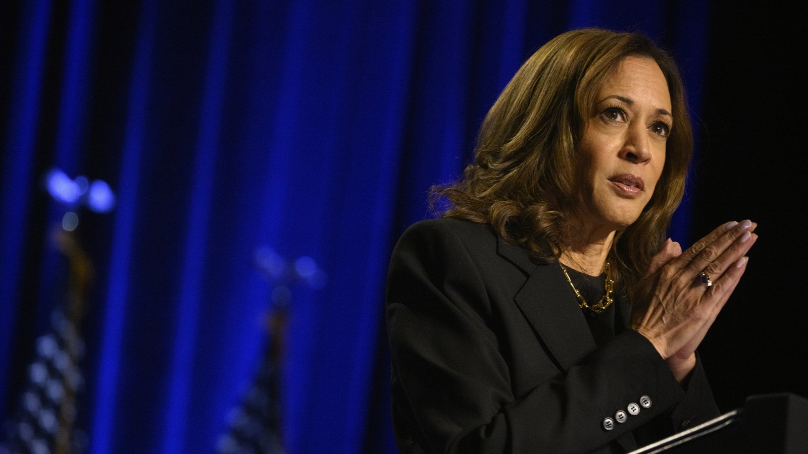 Harris attacks 'biggest loser' Trump on US economy