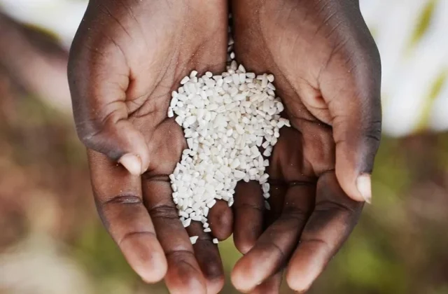 Nutrition Boost May Prevent Millions of Anaemia Cases in Nigeria