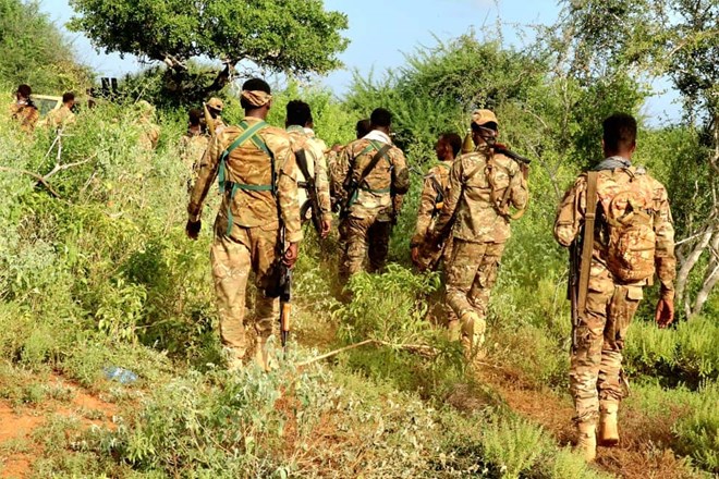 Jubbaland forces kill six al-Shabab militants in fierce battle in Lower Jubba region