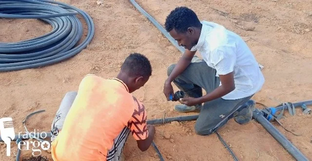 Mudug’s Young Generation Fights Drought Using Contemporary Agricultural Methods