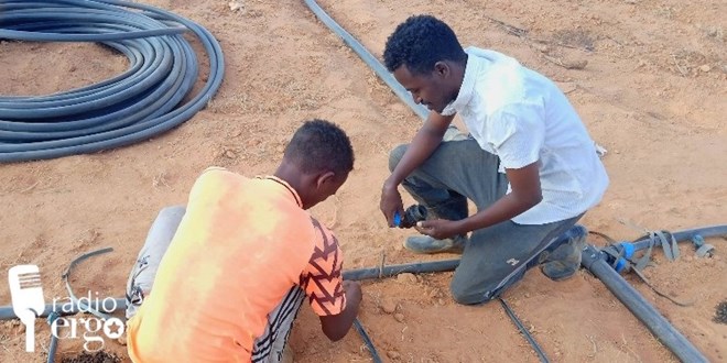 Mudug youth combat drought with modern farming techniques