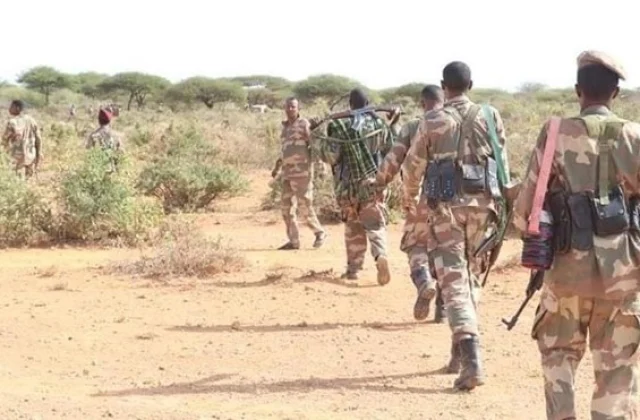 Somali Forces Capture High-Ranking al-Shabaab Leader