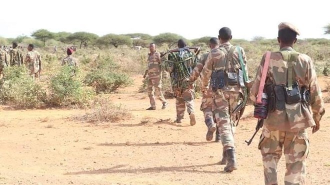 Somali army apprehends senior al-Shabaab ringleader
