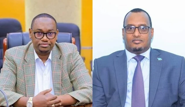 Somali Leader Names Top Advisors for National Governance and Federal Matters