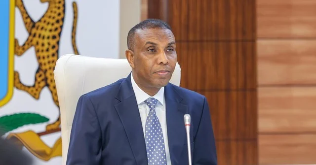 Somali Prime Minister Denies Ethiopia’s Assertion of Maritime Territorial Rights