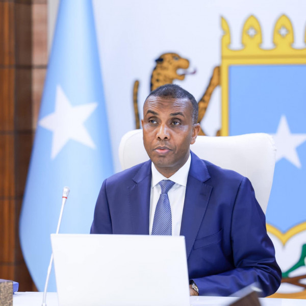 Somali Prime Minister Issues Stark Warning About Significant Threat Posed