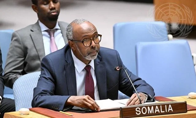 Somali UN Envoy Calls on AU Troops to Comply with International Law and Honor Territorial Sovereignty