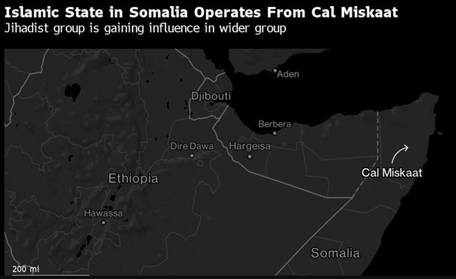 Islamic State's Somalia affiliate expands influence, group says