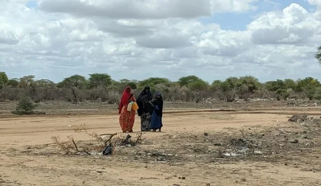 Somalia Aims to Mitigate the Effects of Droughts