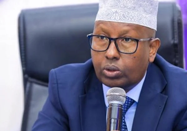 Somalia Considers Backing Ethiopian Rebels in Response to  North Western of SomaliaPort Agreement