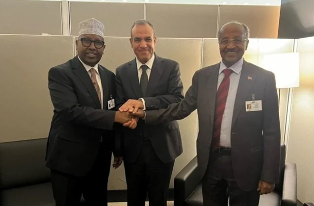 Somalia Deepens Relations with Egypt and Eritrea During UNGA Side Meeting