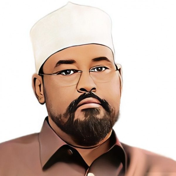 Somalia How Much Longer Can Ahmed Madobe Weather the Political