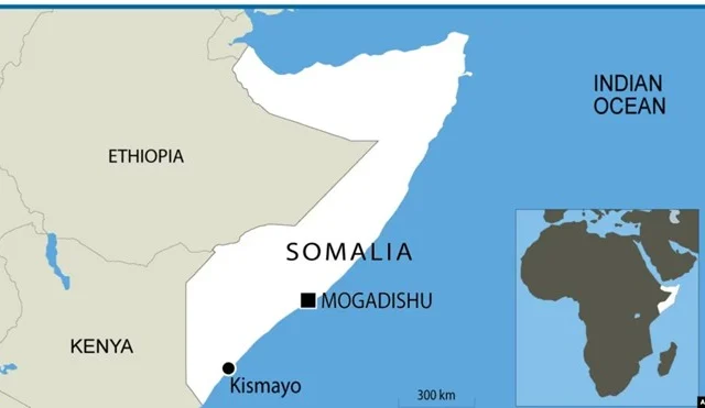 Somalia Indicates Willingness to Back Ethiopian Rebels