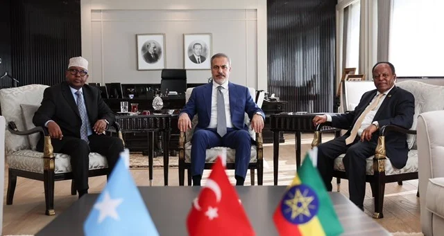 Somalia Insists Ethiopia Cancels Covert North Western State of Somalia Deal Prior to Negotiations