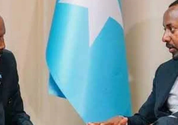 Somalia Rejects Ethiopia’s Aspirations for Military Presence in the Red Sea