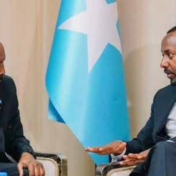 Somalia Rejects Ethiopias Aspirations for Military Presence in the Red