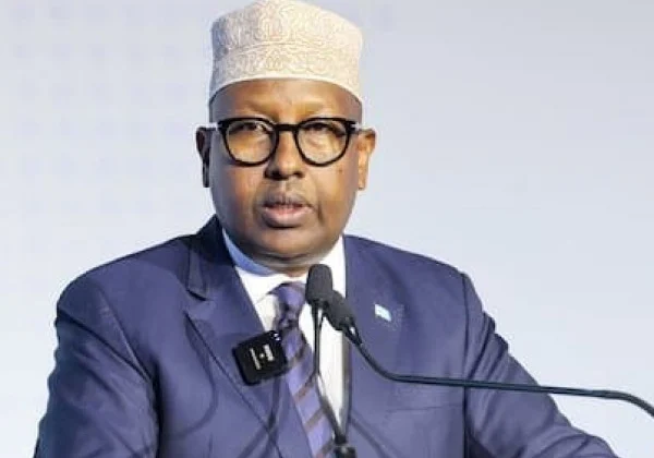 Somalia’s Dilemma: Back Ethiopia’s Rebels or Pursue Diplomatic Solutions?