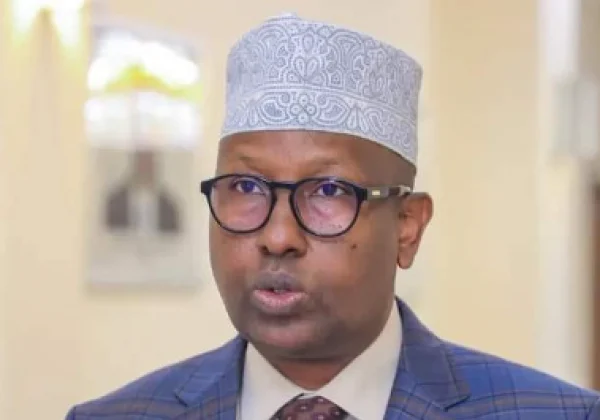 Somalia’s Parliament Considers No-confidence Motion Against Foreign Affairs Minister